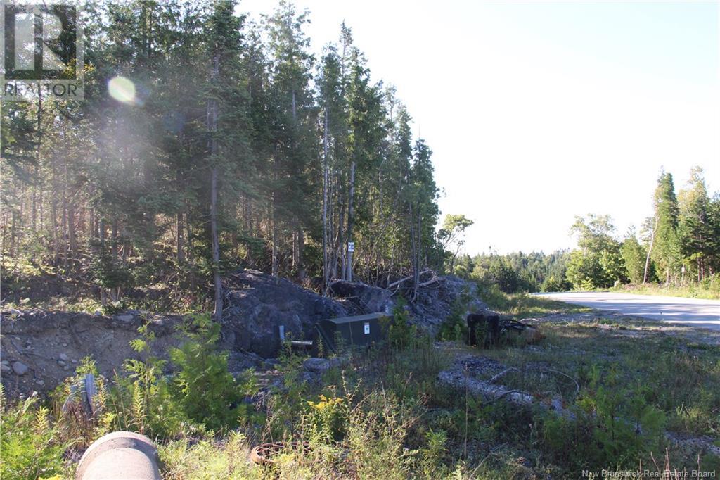 Photo 6 of 00 Shoreline Drive, Saint John NB