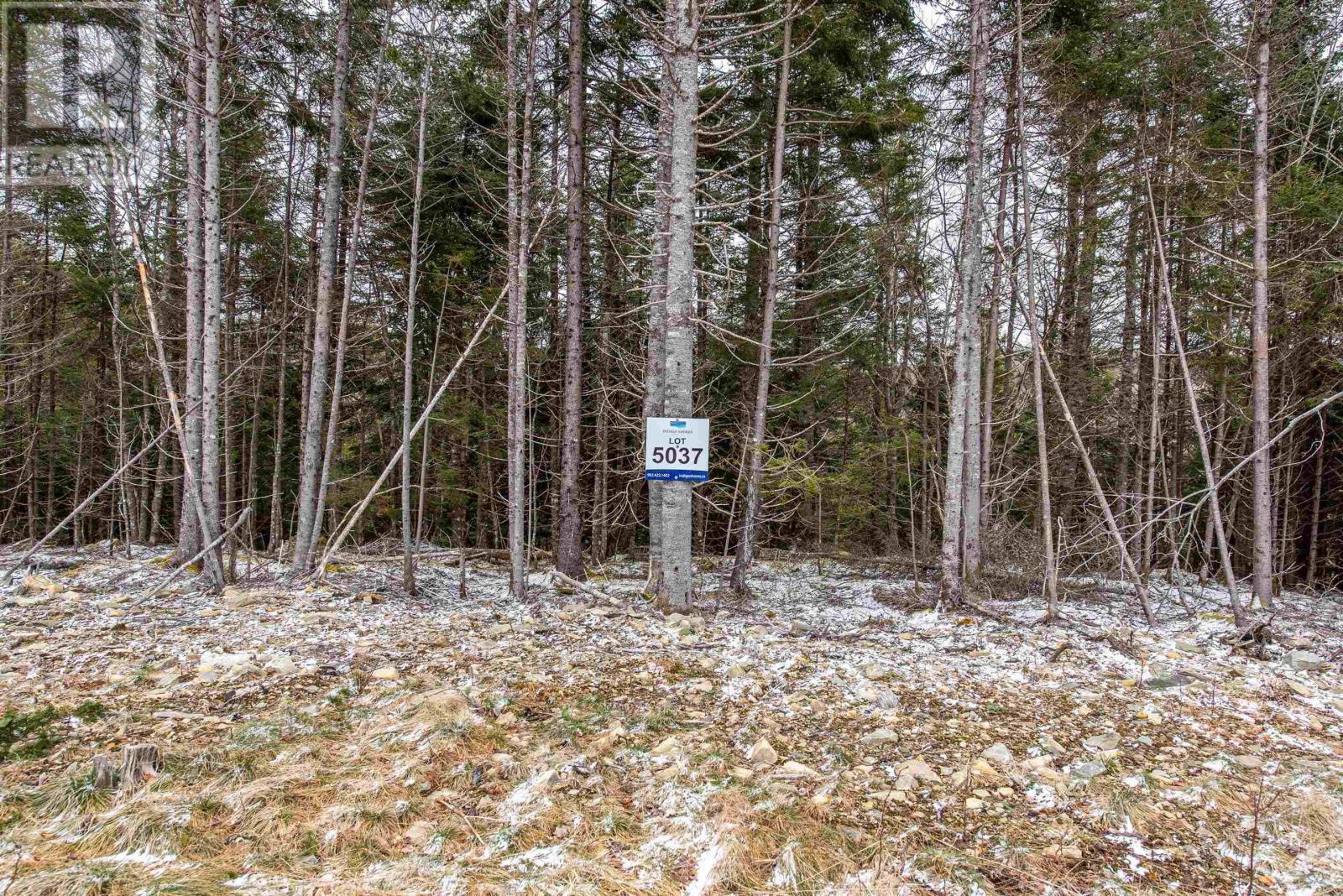121 Orchid Court, Middle Sackville
