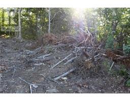 00 Shoreline Drive, photo 10