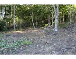 00 Shoreline Drive, photo 11