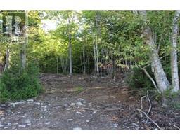 00 Shoreline Drive, photo 5