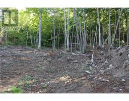 00 Shoreline Drive, photo 6
