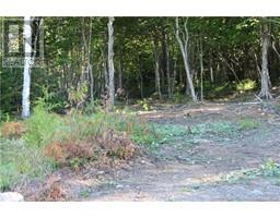 00 Shoreline Drive, photo 7