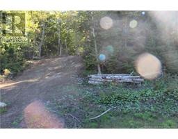 00 Shoreline Drive, photo 4
