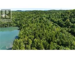 Lot 85-54 Bayview Drive, Campobello Island, NB E5E1Z3 Photo 10