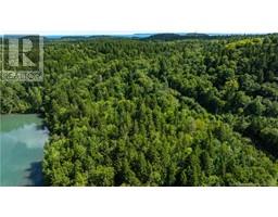Lot 85-55 Bayview Drive, Campobello Island, NB E5E1Z3 Photo 9