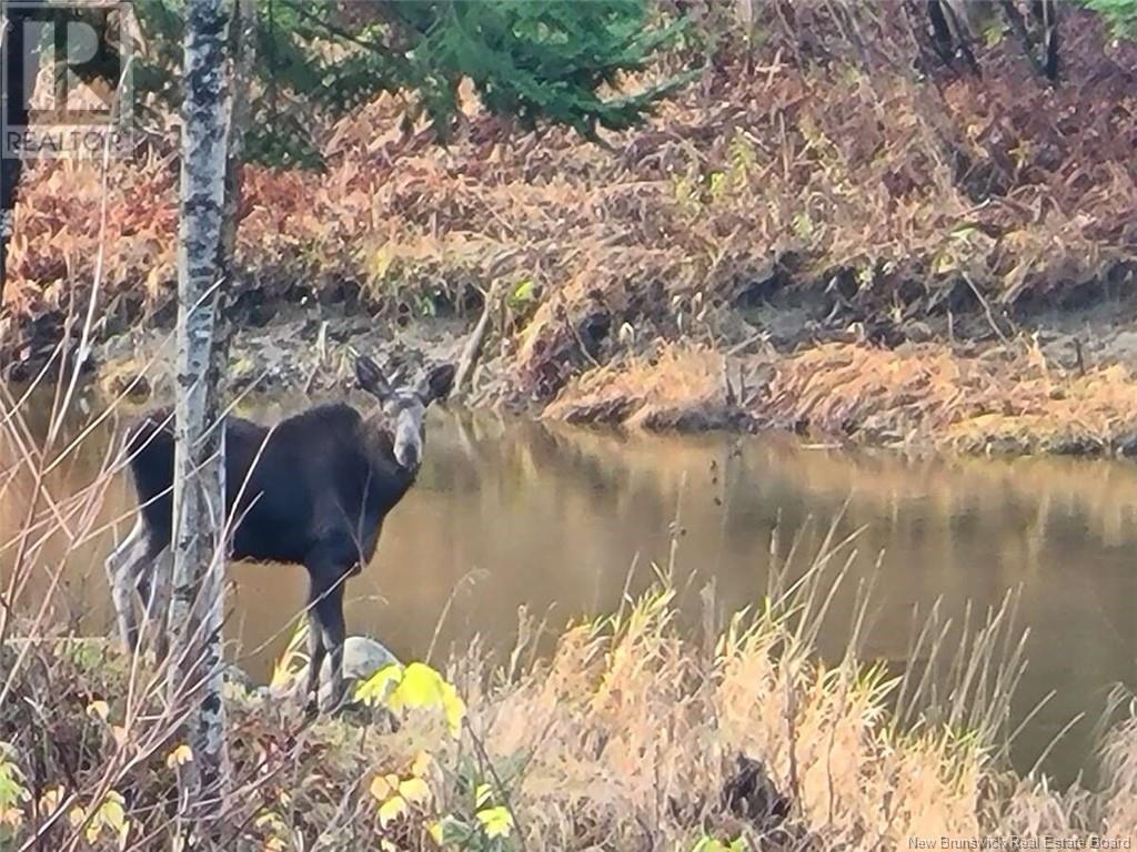 Photo 34 of 326 Chem De La Grande Riviere, Saintleonard NB