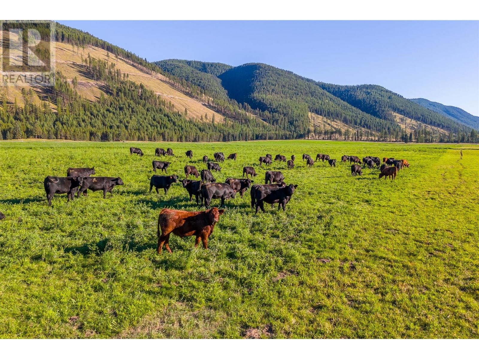  585 Beaver Creek Road, Beaverdell