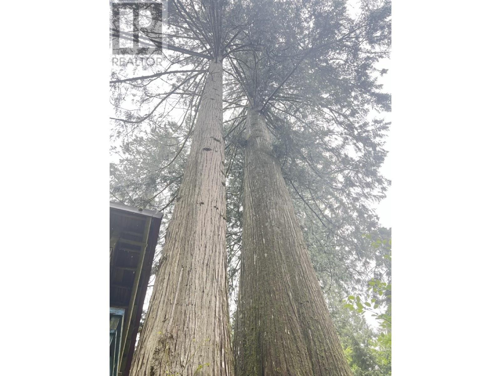 Photo of 6229 MASON ROAD 16