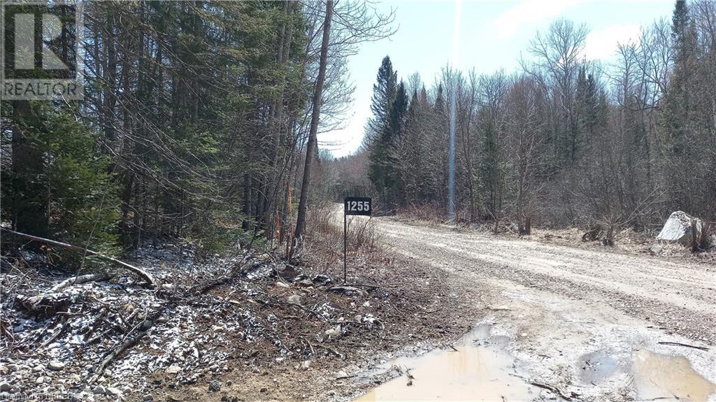 1255 SNAKE CREEK ROAD - Image 3