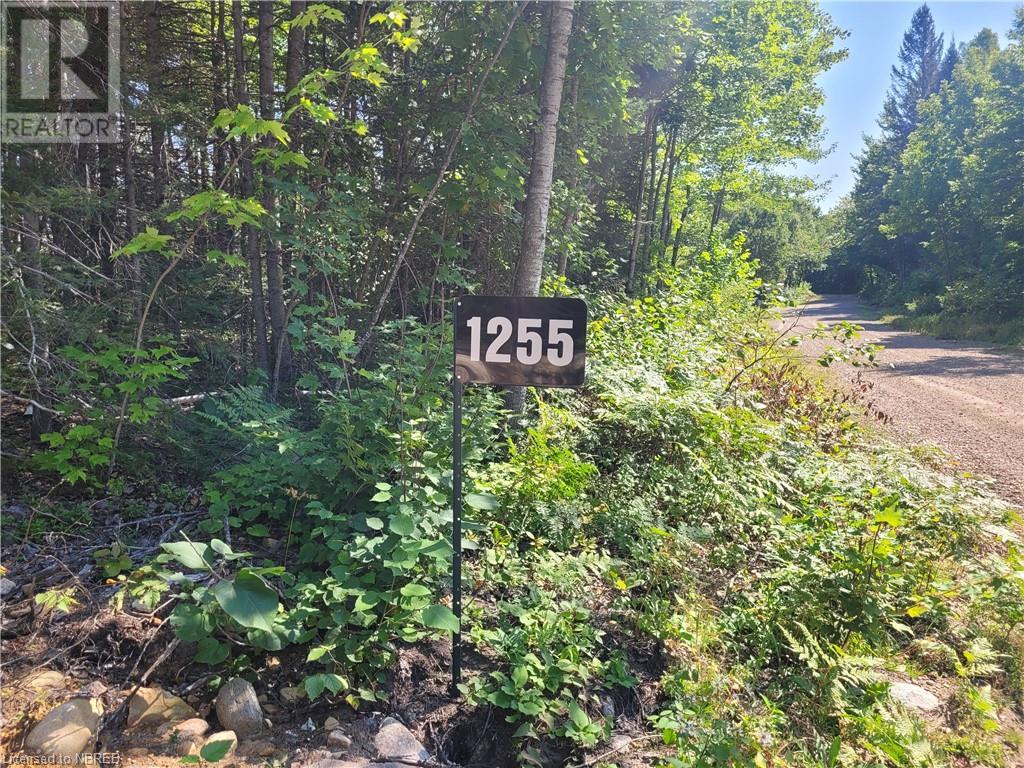 1255 SNAKE CREEK ROAD - 30
