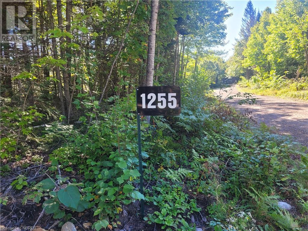 1255 SNAKE CREEK ROAD - Image 31