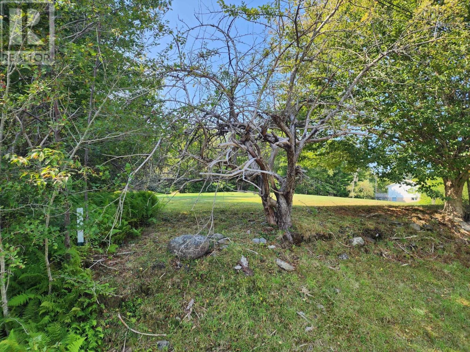 Photo 15 of 875 Beech Hill Road, Beech Hill Farms NS