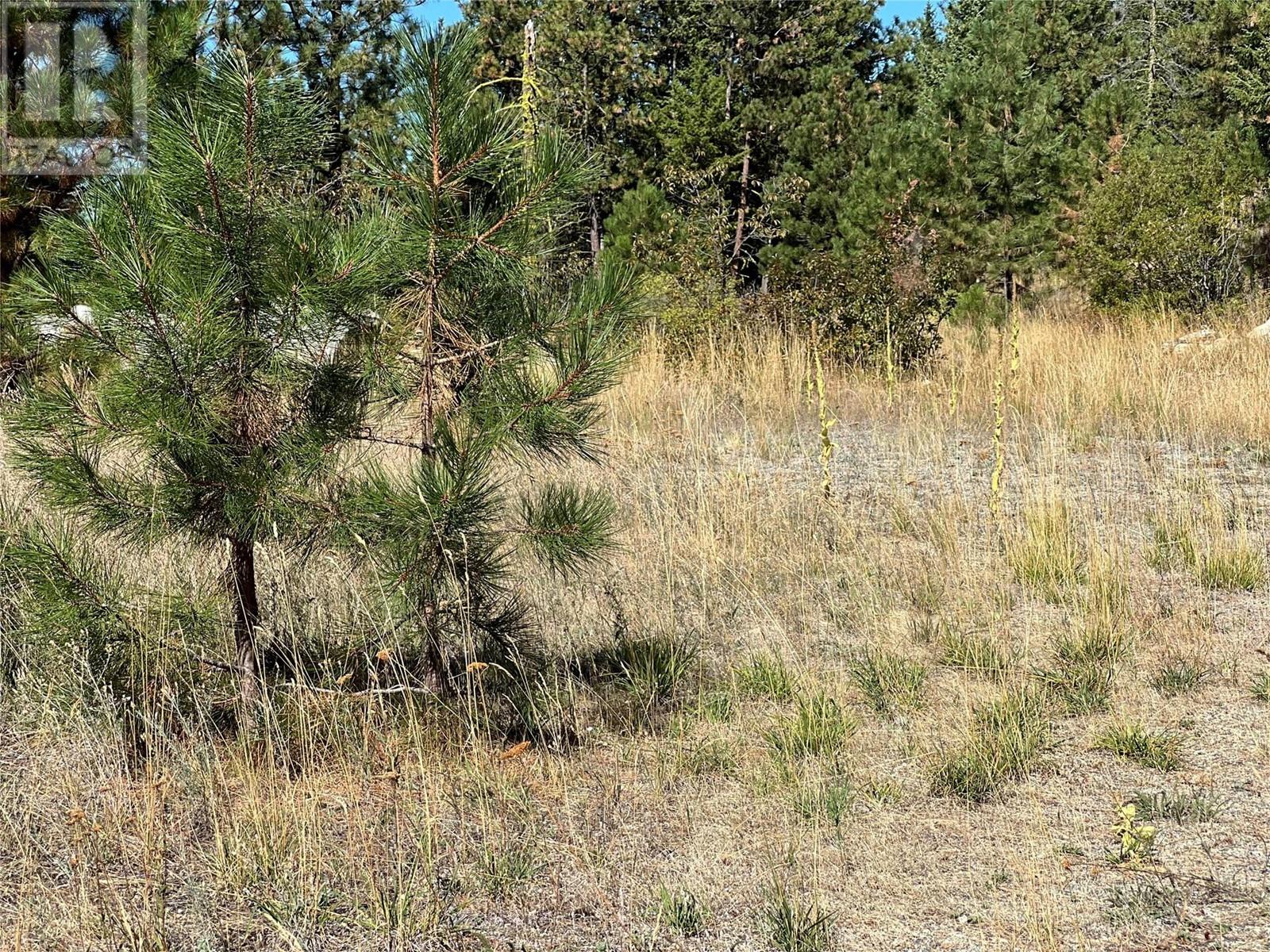 Lot 39 Sasquatch Trail Trail, Osoyoos