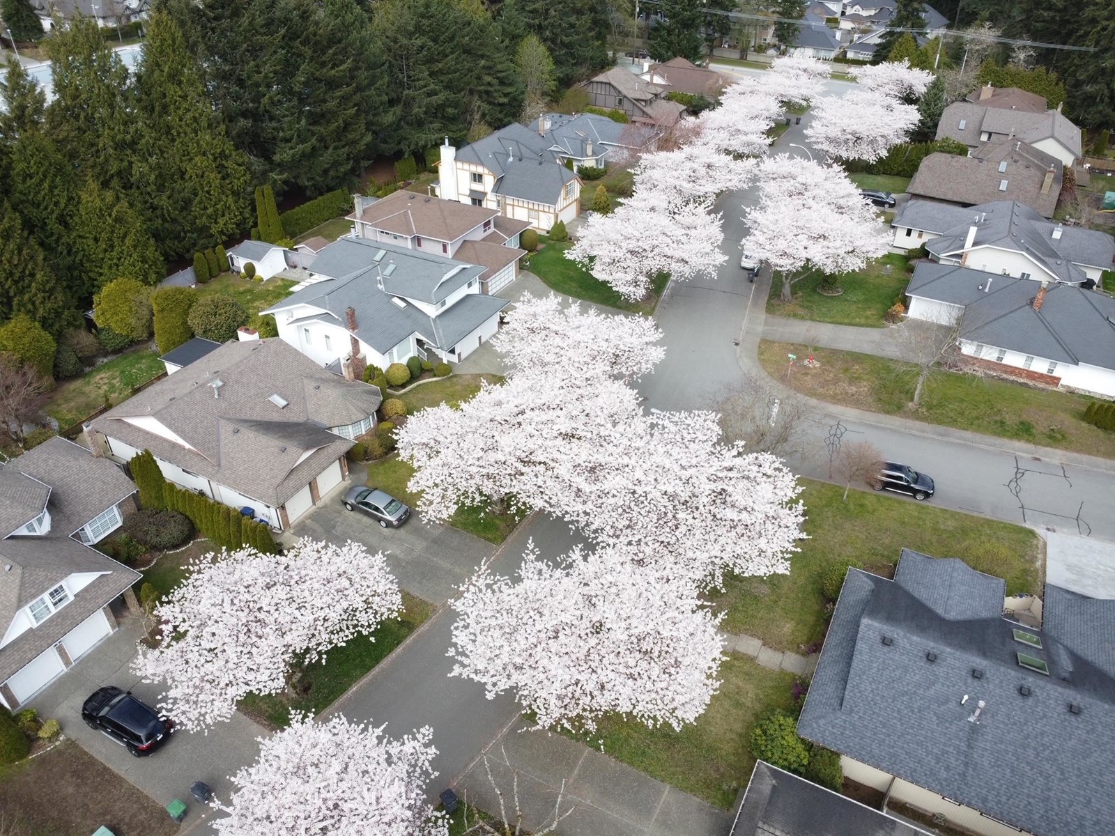 Photo 37 of 14897 22 Avenue, Surrey BC