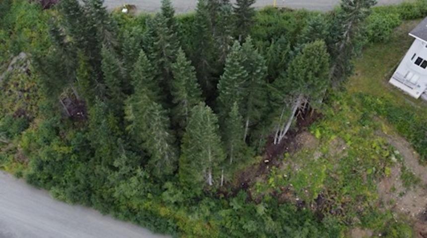 20950 SNOWFLAKE CRESCENT, Agassiz