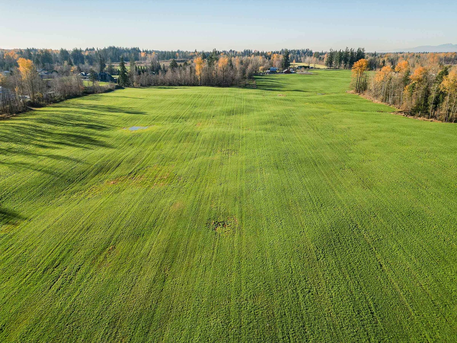 6290 272 STREET, Langley real estate listing R2927211
