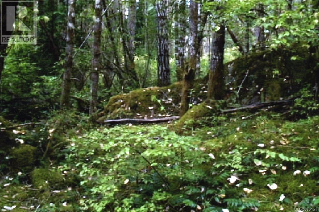 1028 Finlayson Arm Rd, Langford real estate listing 976461