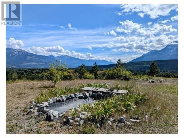 5255 PITNEY ROAD, Valemount