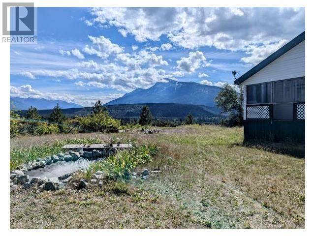 5255 PITNEY ROAD, Valemount