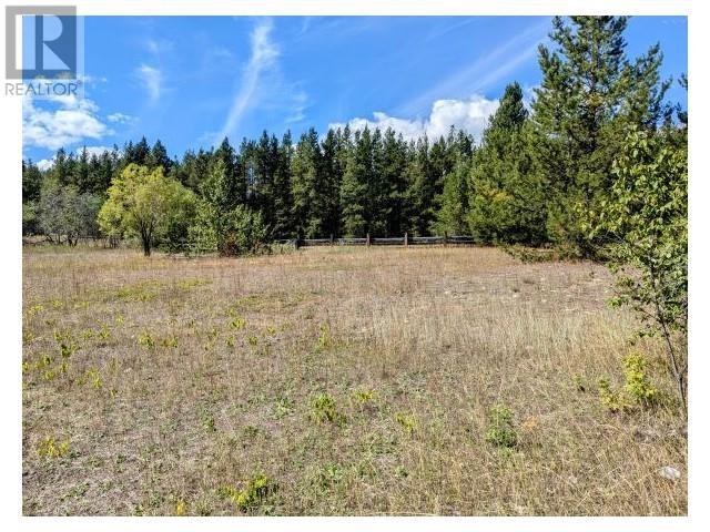 5255 PITNEY ROAD, Valemount