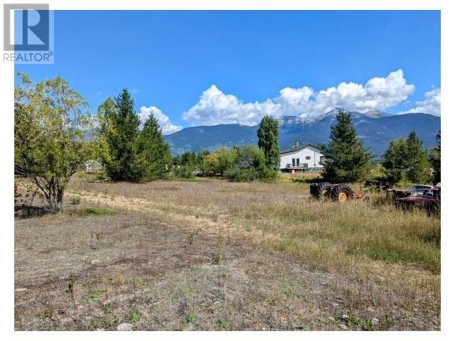 5255 PITNEY ROAD, Valemount