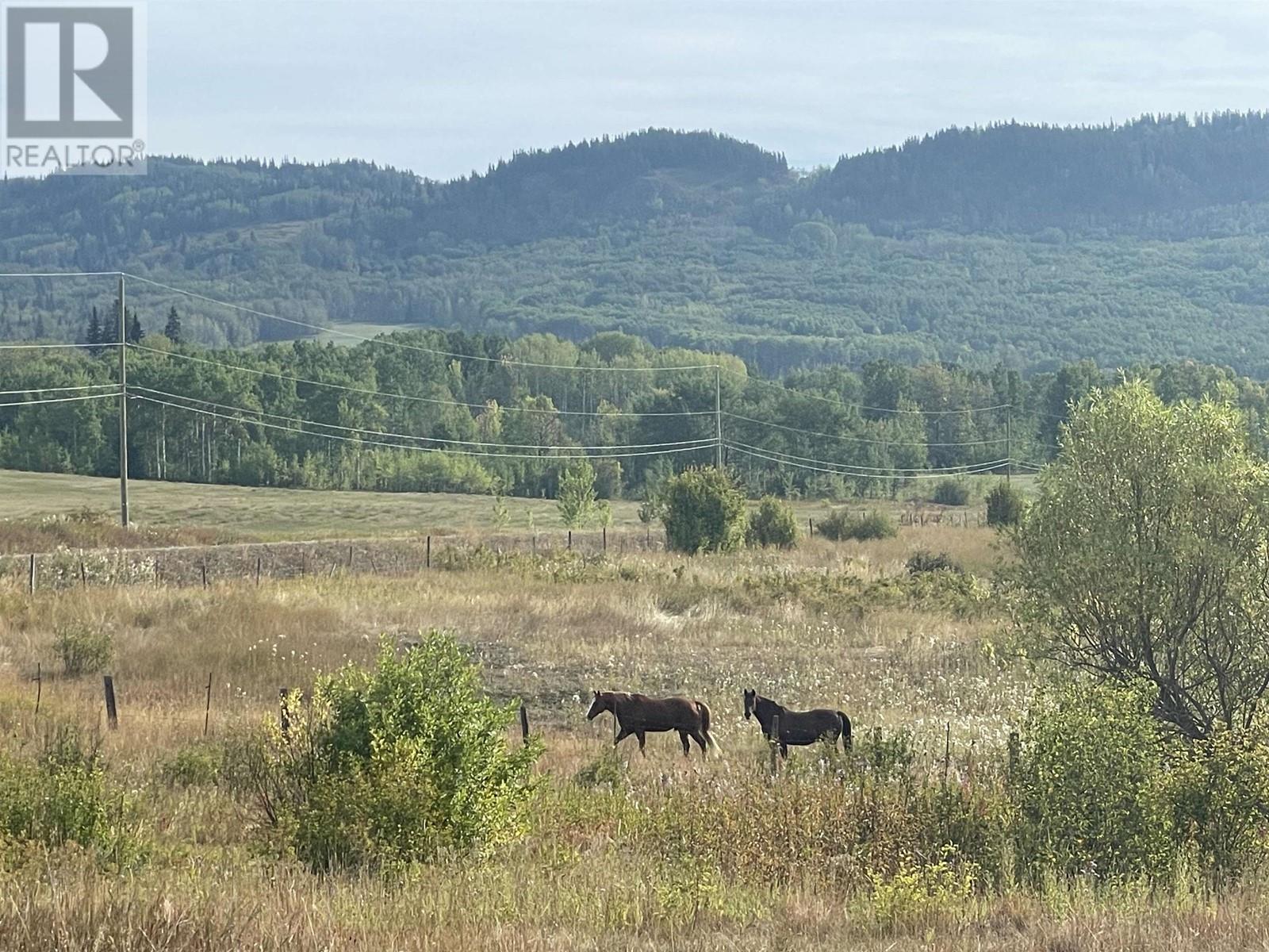 4421 TYHEE LAKE Road, Telkwa