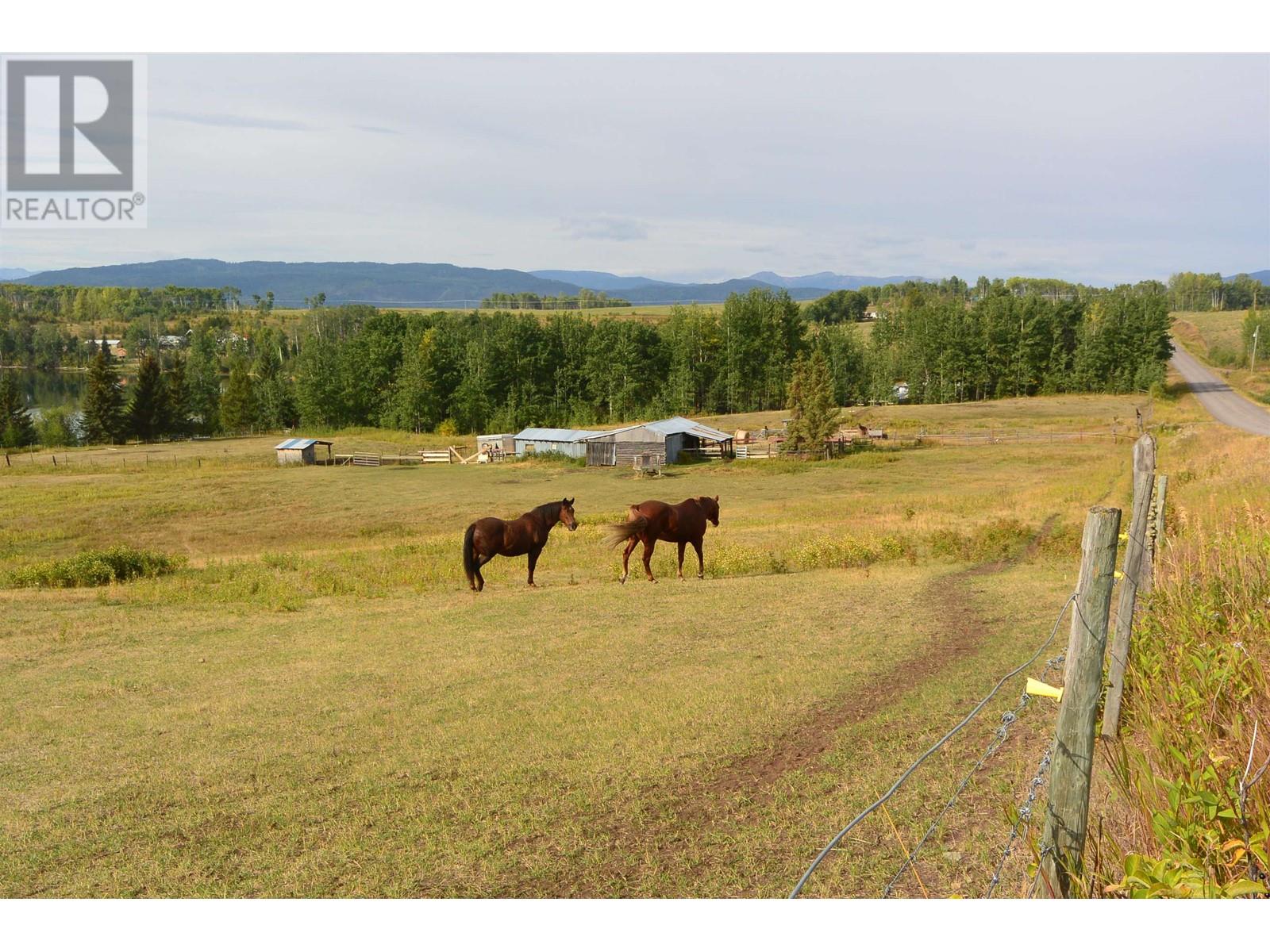 4421 TYHEE LAKE Road, Telkwa