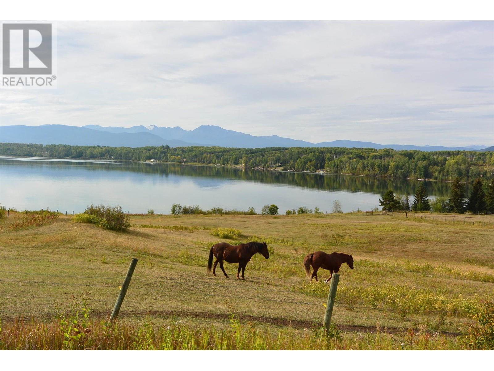 4421 TYHEE LAKE Road, Telkwa