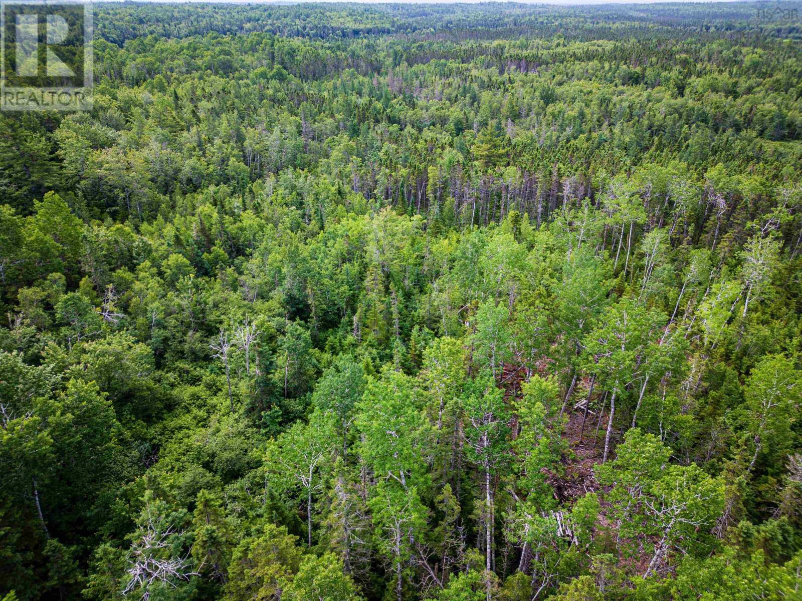 Lot 2-cd Renfrew Road, Nine Mile River