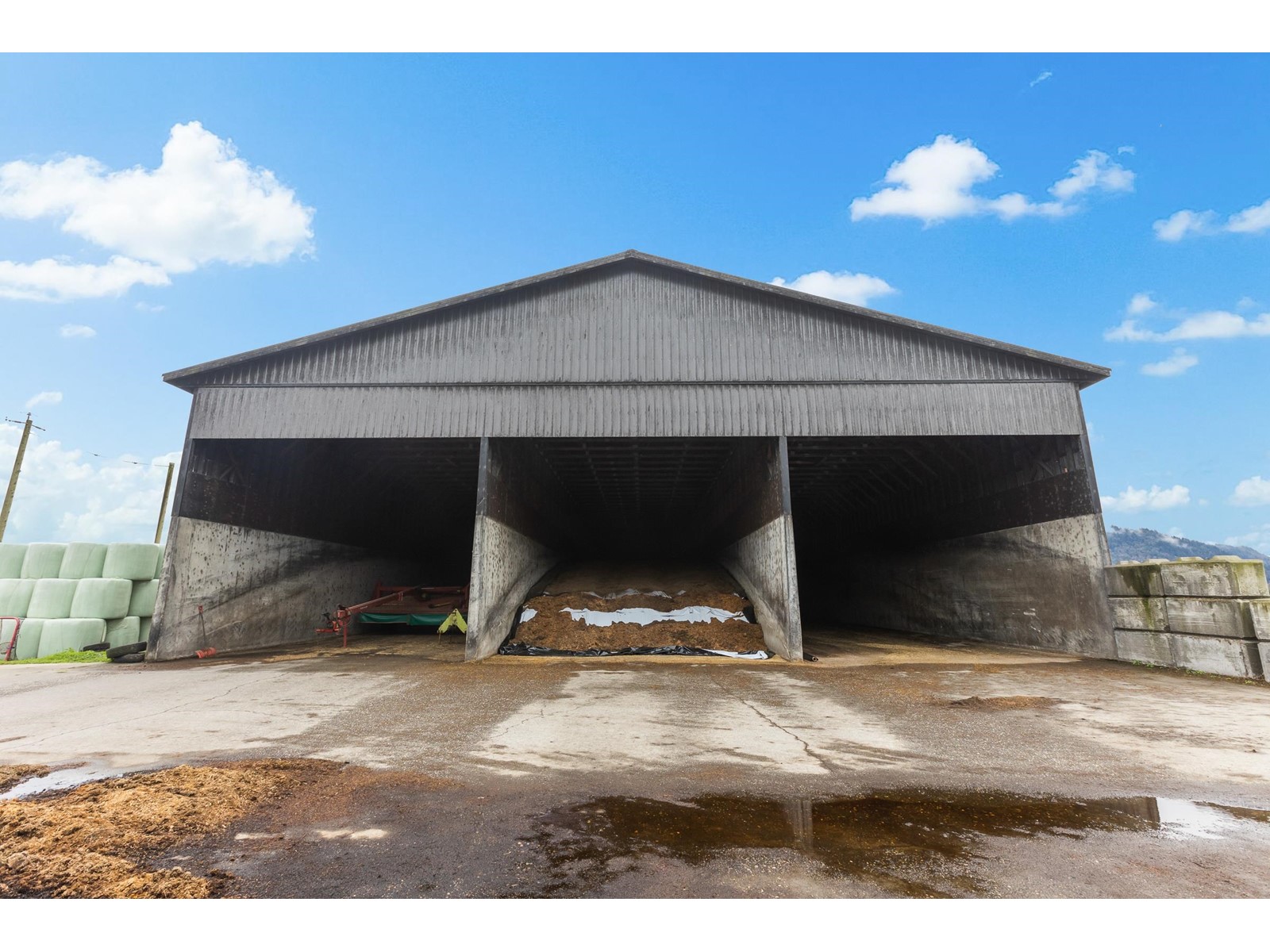 8713 HOWELL ROAD, Mission real estate listing R2929805