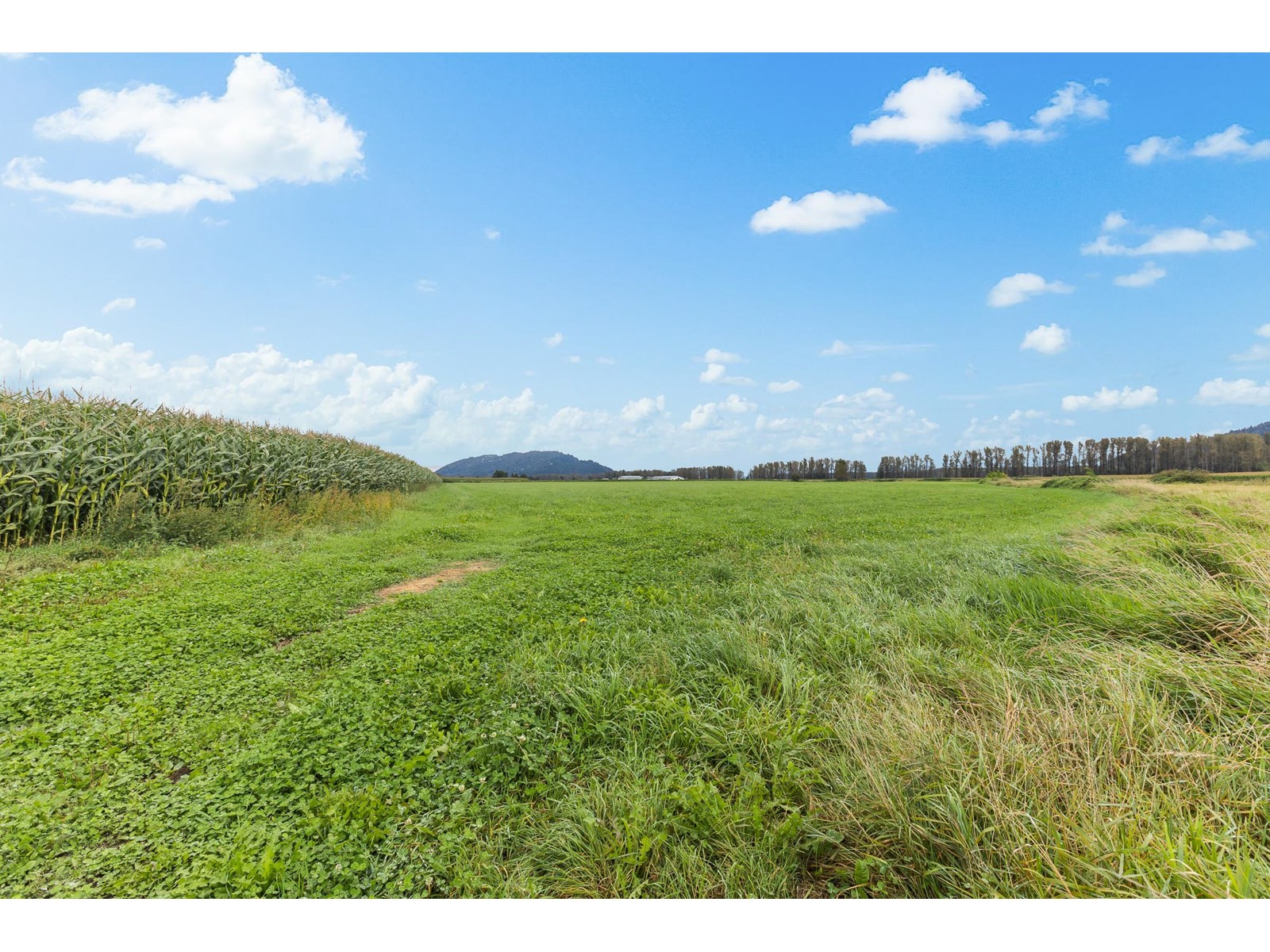 8713 HOWELL ROAD, Mission real estate listing R2929805
