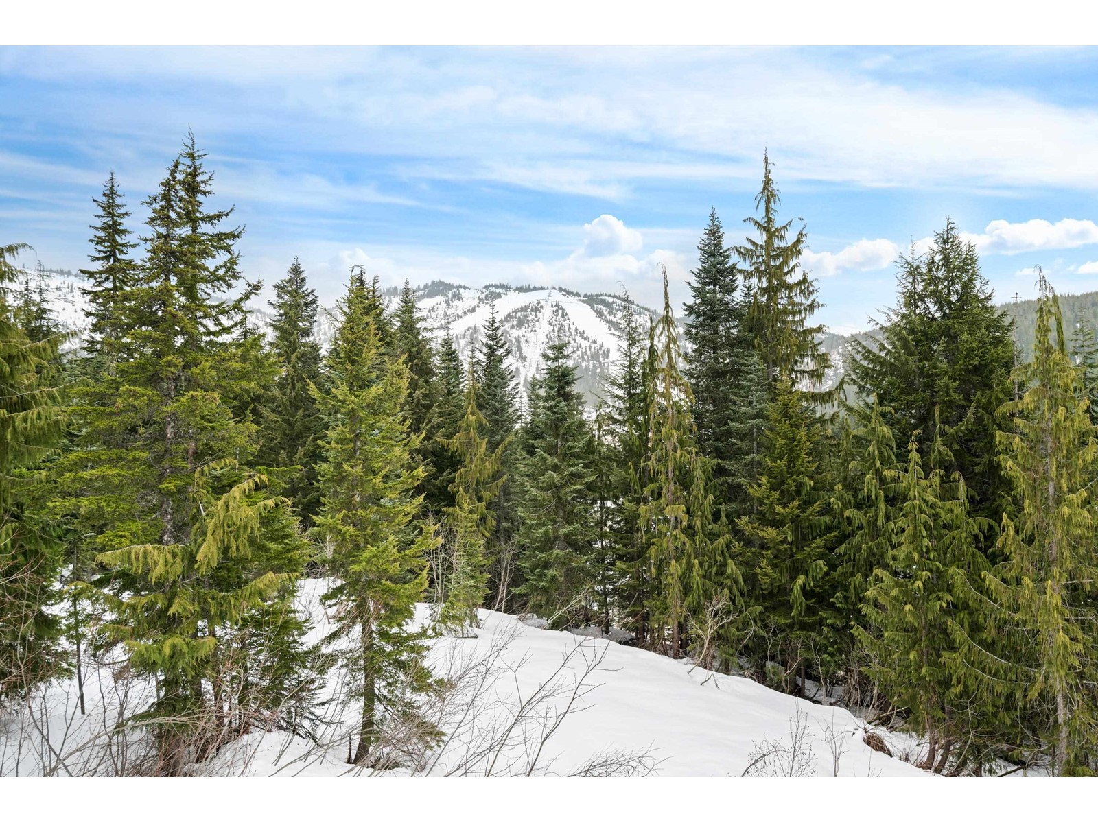 20758 EDELWEISS DRIVE, Mission real estate listing R2930580