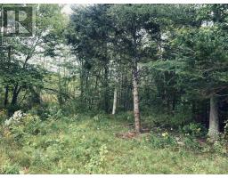 Lot Seven Mile Road Route 4, Cardross, PE C0A1G0 Photo 29