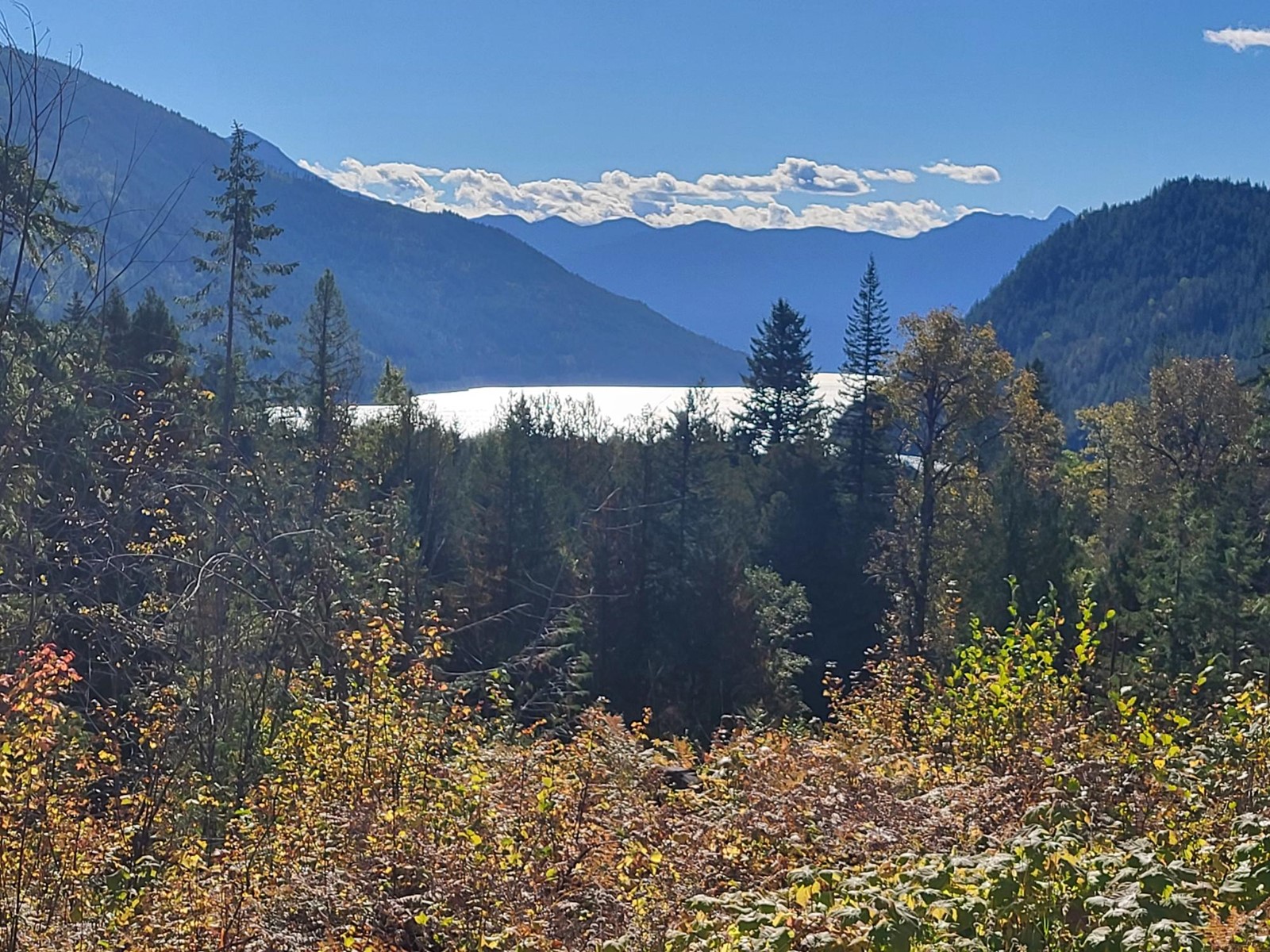 4675 Highway 6, Hills