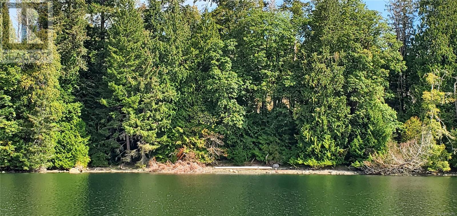 Vacant Land in Quadra Island - Image 48