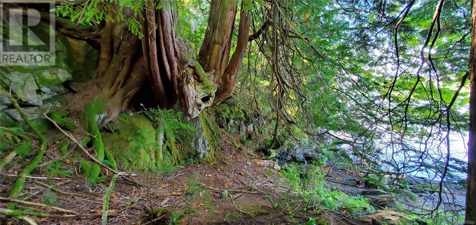 Vacant Land in Quadra Island - Image 16