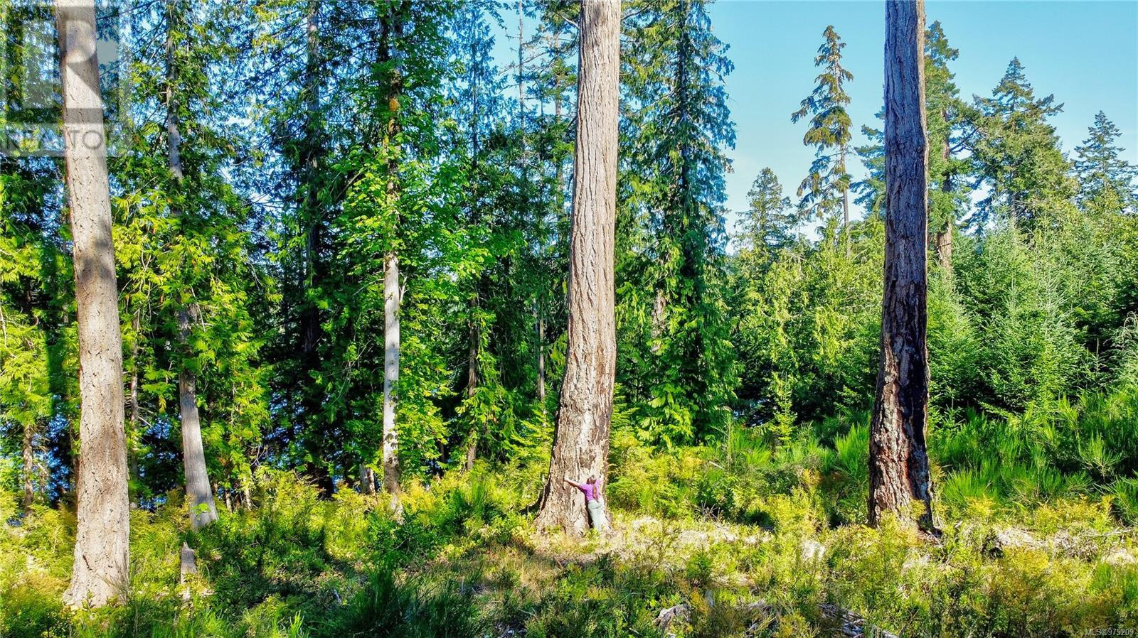 Vacant Land in Quadra Island - Image 11