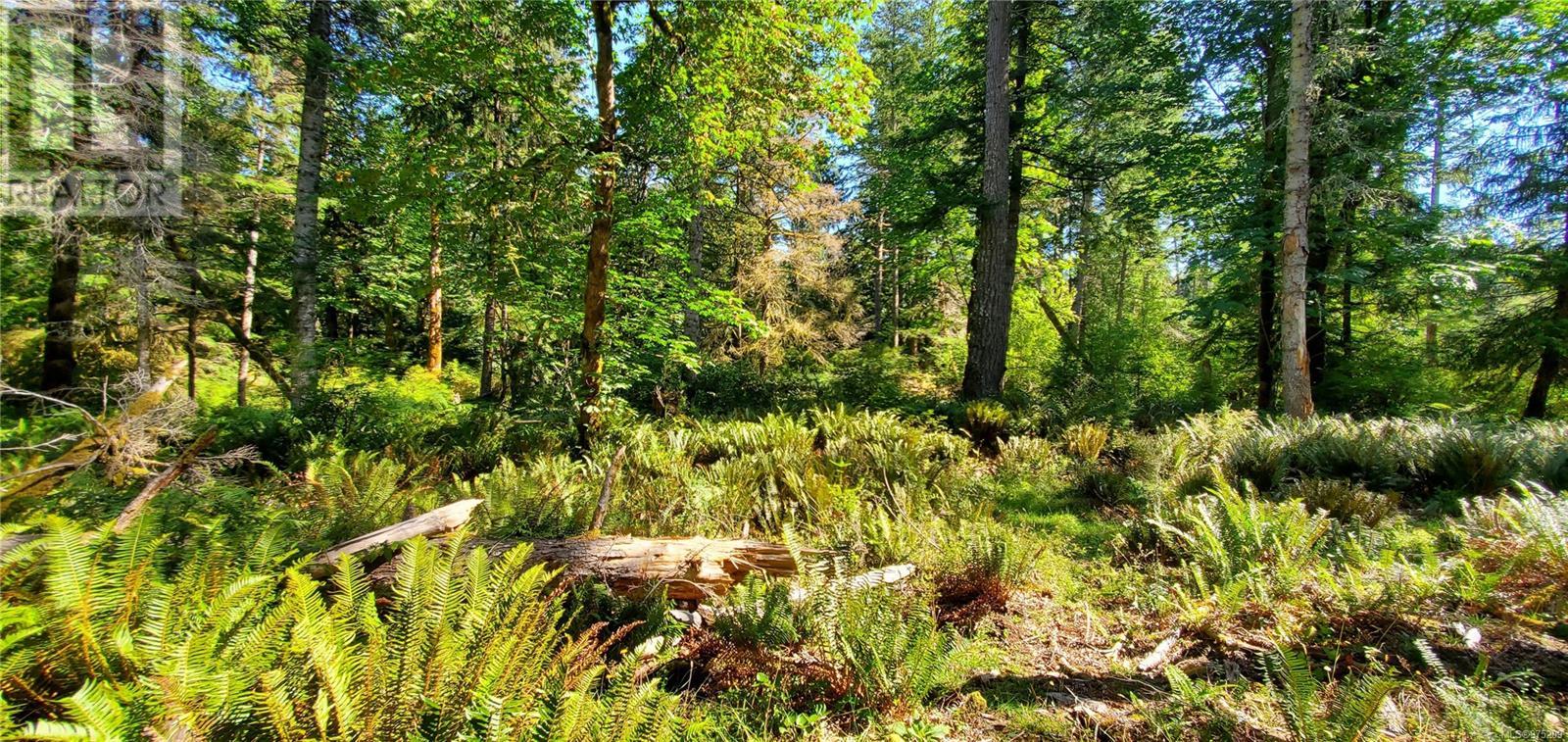 Vacant Land in Quadra Island - Image 26