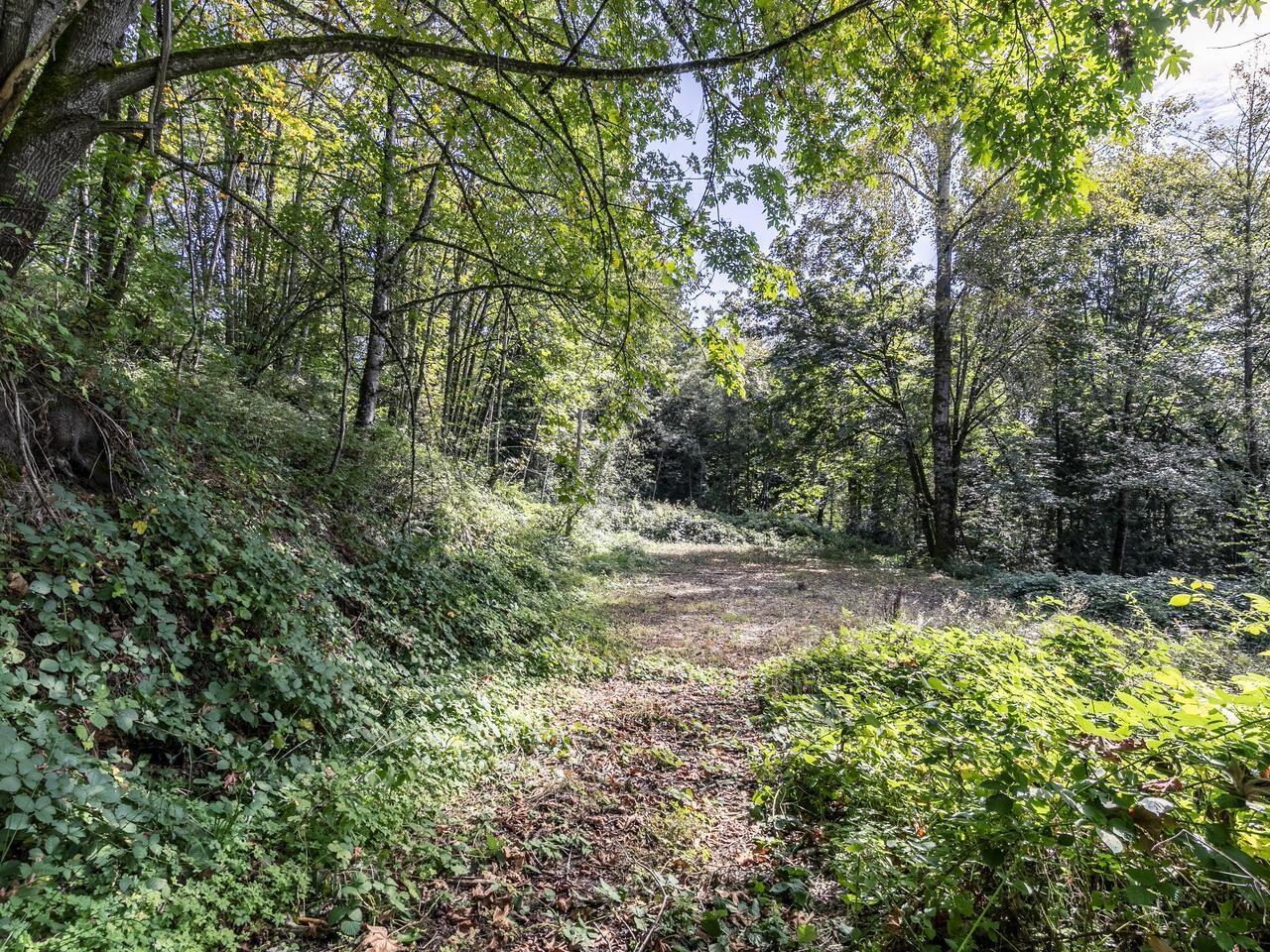 30362 GUNN AVENUE, Mission real estate listing R2931877