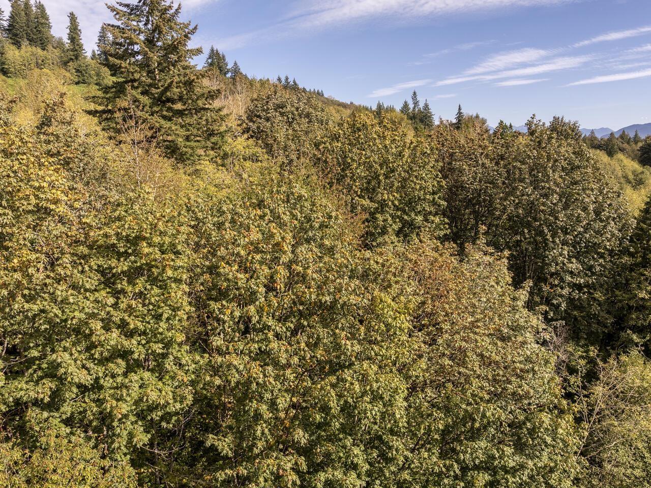 30362 GUNN AVENUE, Mission real estate listing R2931877
