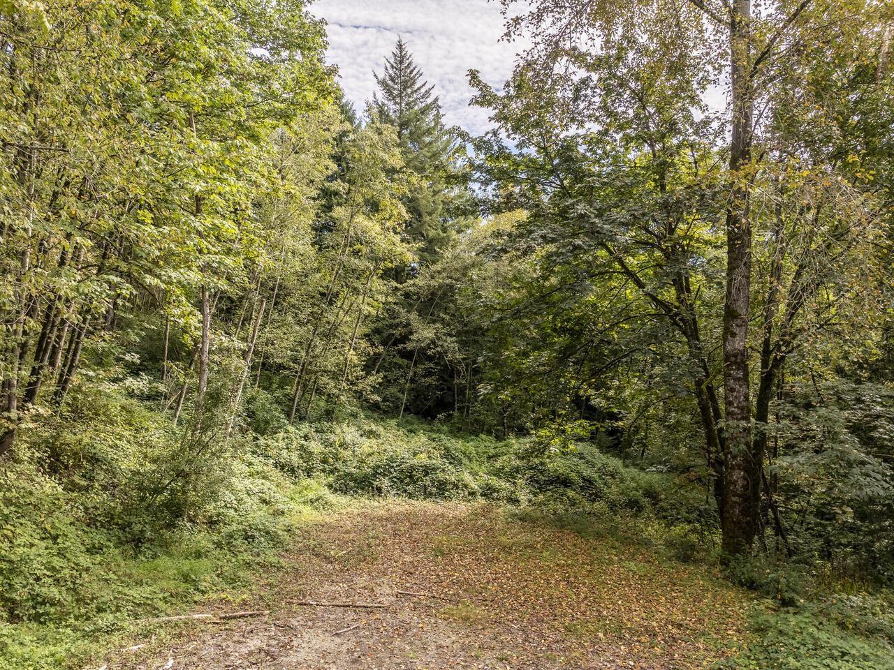30362 GUNN AVENUE, Mission real estate listing R2931877