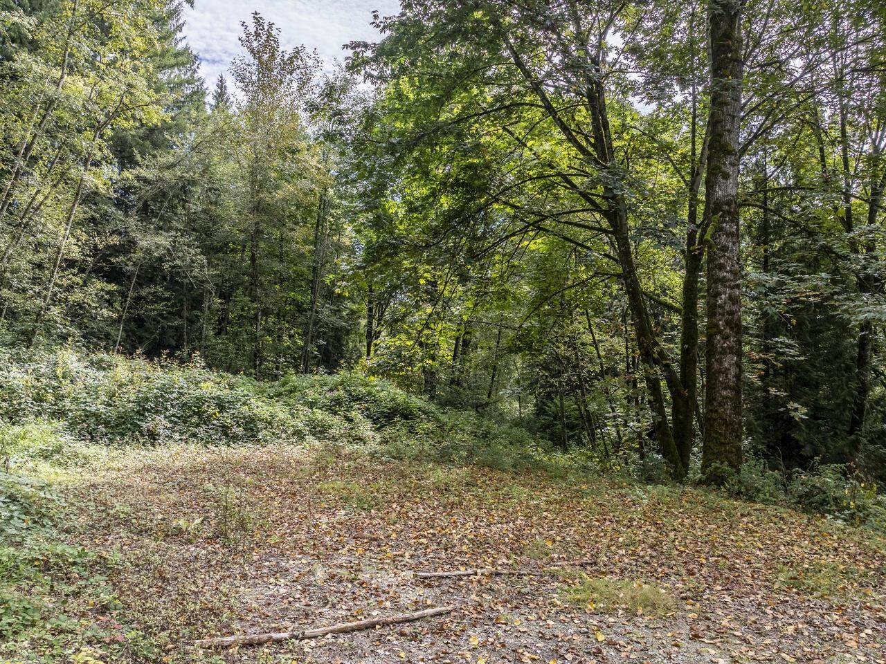 30362 GUNN AVENUE, Mission real estate listing R2931877