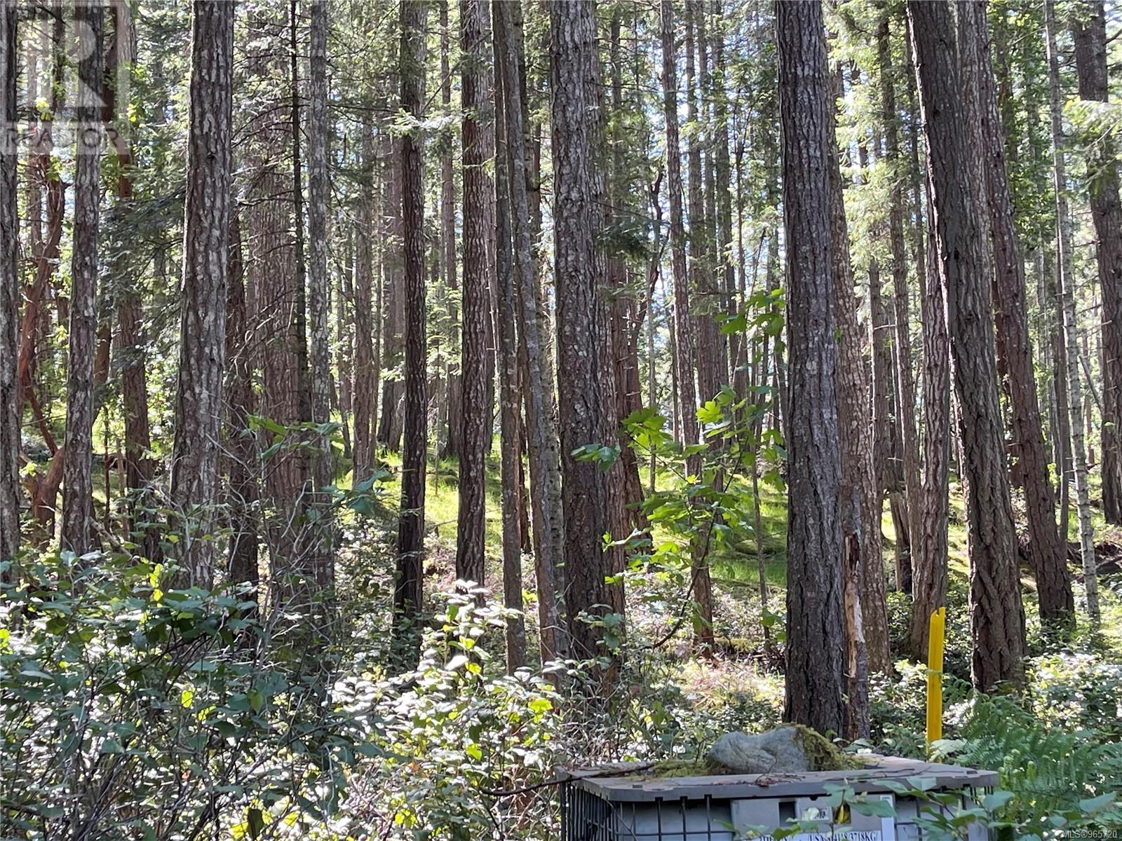 Photo 4 of Lot 2 Driftwood Dr, Mudge Island BC