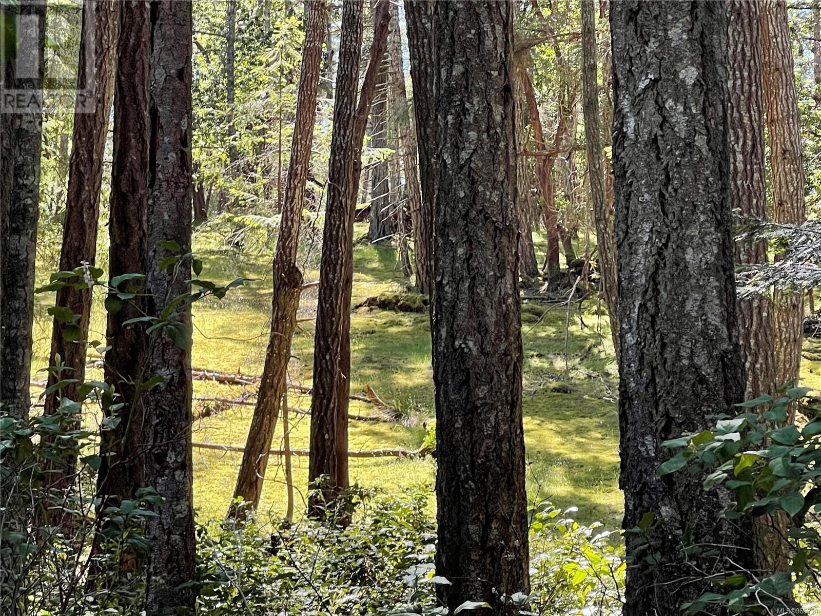 Photo 8 of Lot 2 Driftwood Dr, Mudge Island BC