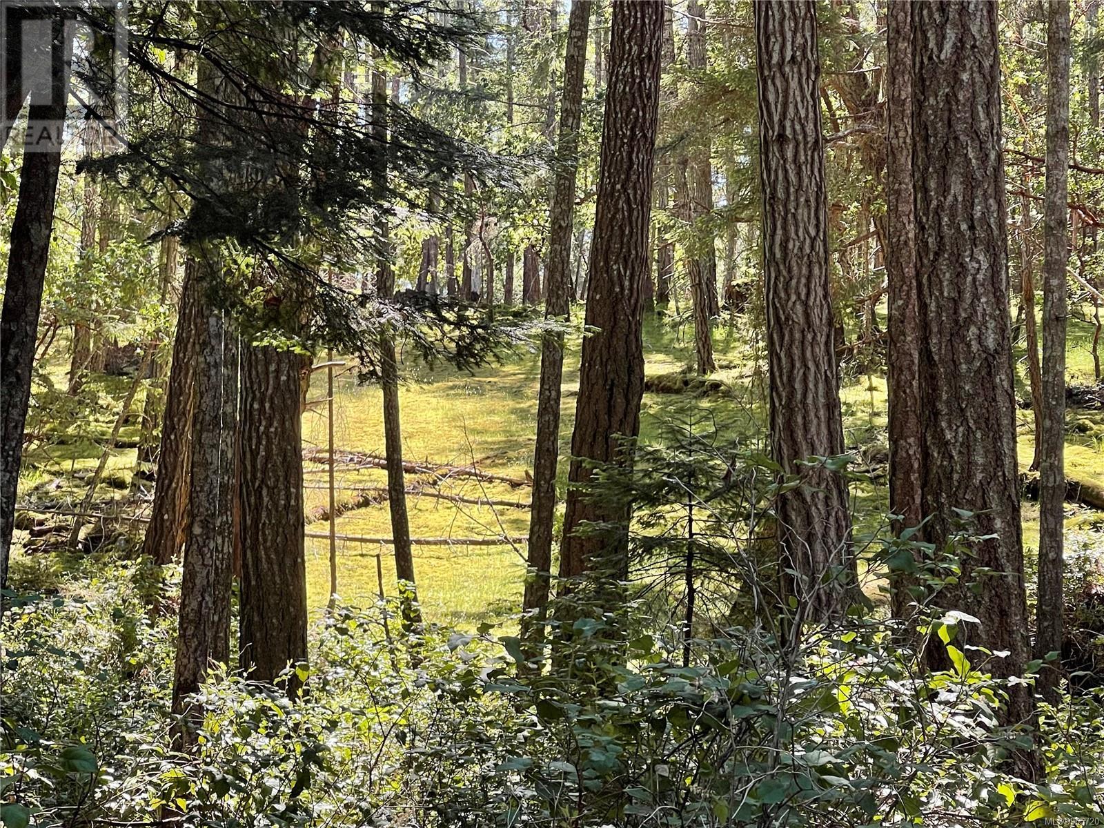 Photo 3 of Lot 2 Driftwood Dr, Mudge Island BC