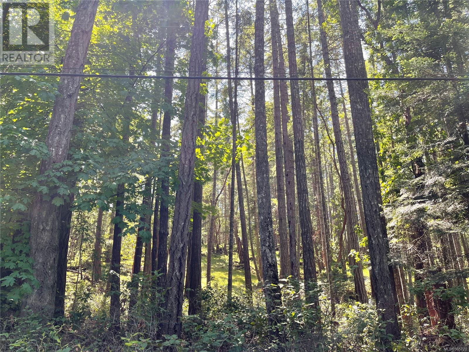 Photo 14 of Lot 2 Driftwood Dr, Mudge Island BC