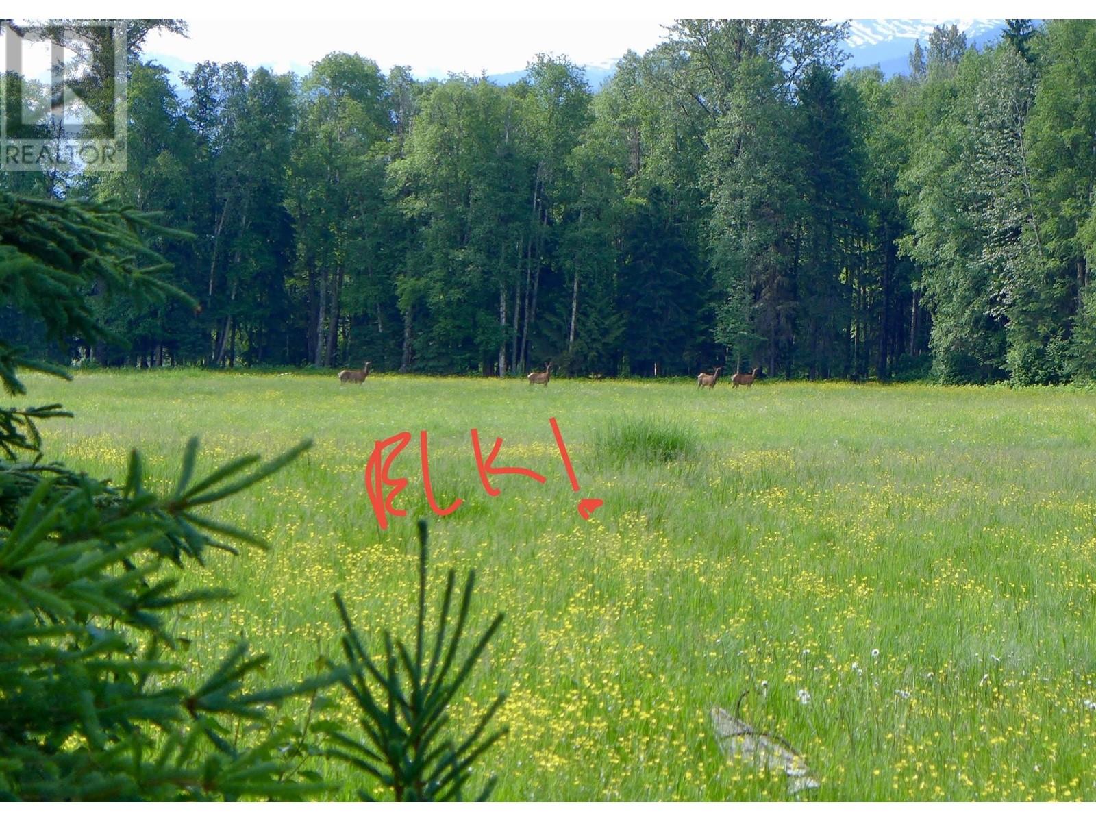 8165 MOUNTAIN VIEW ROAD, McBride