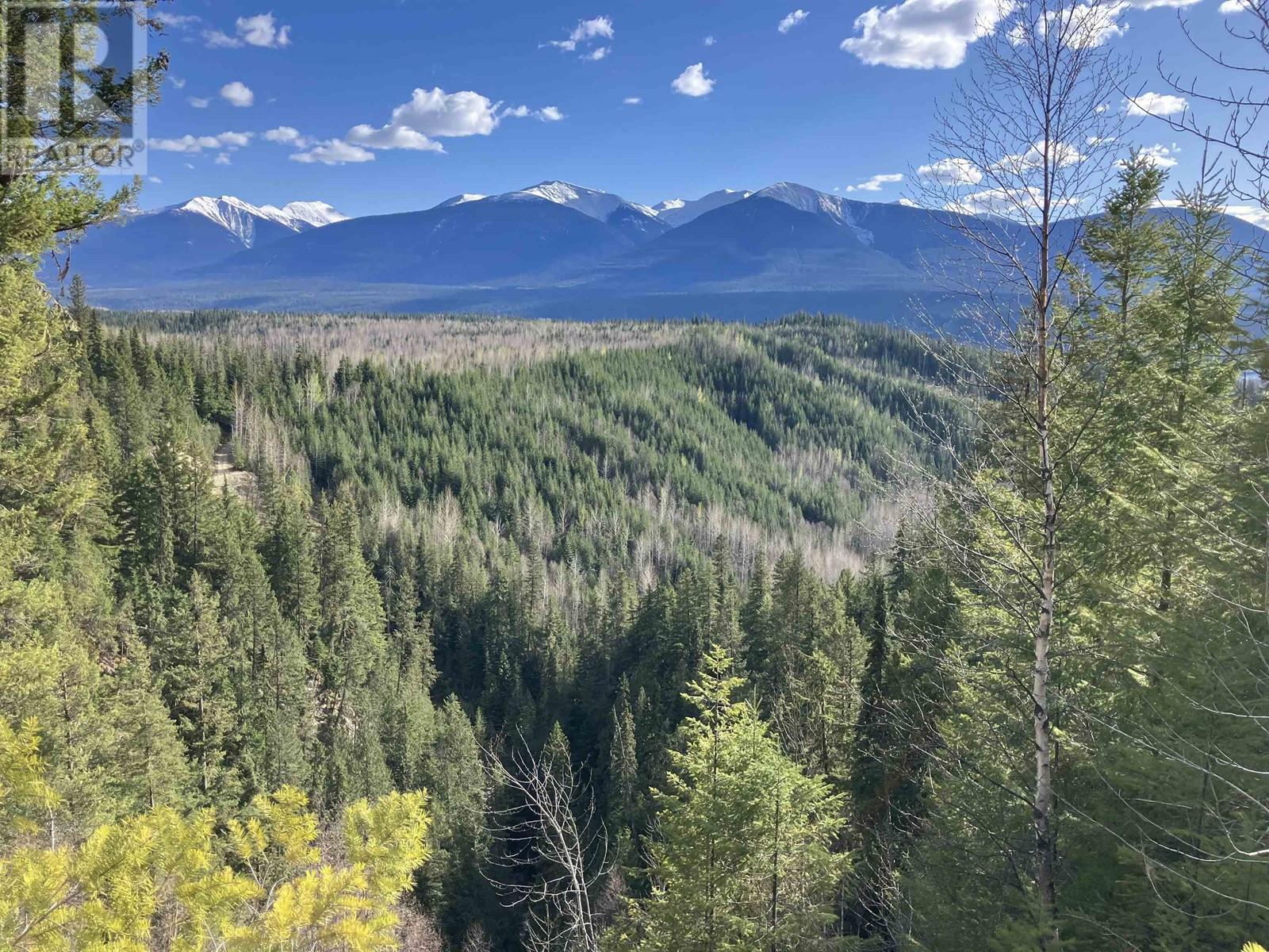 8165 MOUNTAIN VIEW ROAD, McBride