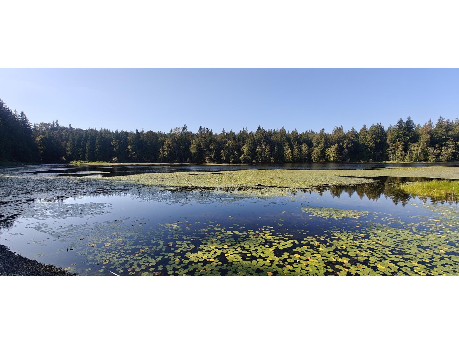 23455 8 AVENUE, Langley real estate listing R2924598